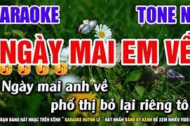 Báo Mới Ngày Mai Karaoke