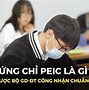 Trung Học Cơ Sở Tiếng Anh Là Gì